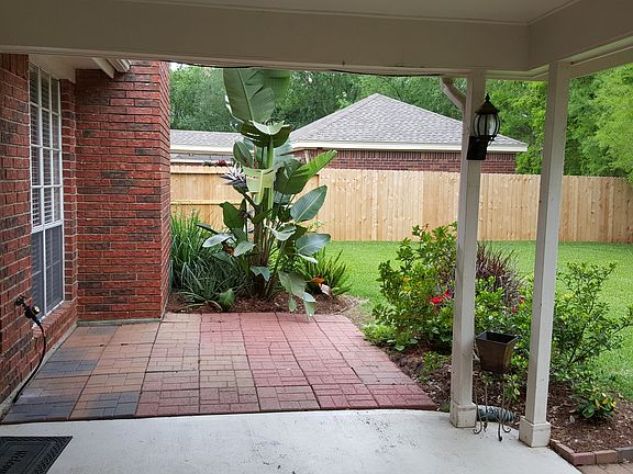 Back yard, patio
