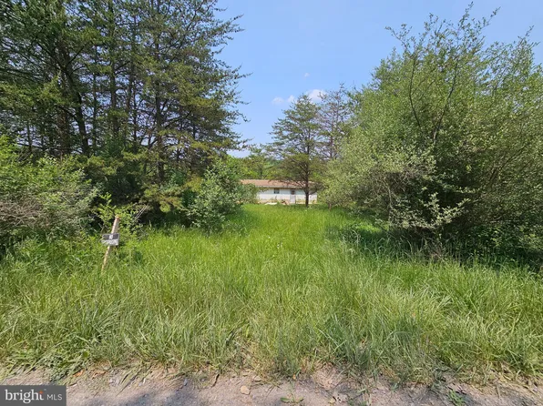 570 S Branch Rd, Levels, WV 25431