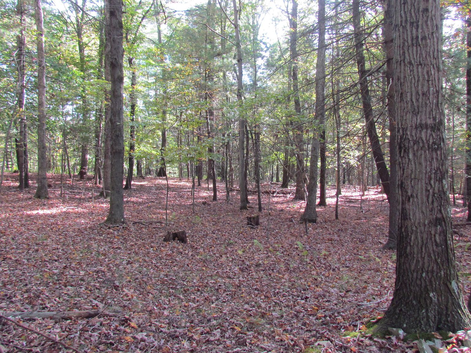 0 Winkler Rd, Huntington Mills, PA 18622 MLS 2095487 Zillow