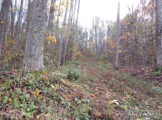 E Three Red Wolf Run None, Mars Hill, NC 28754