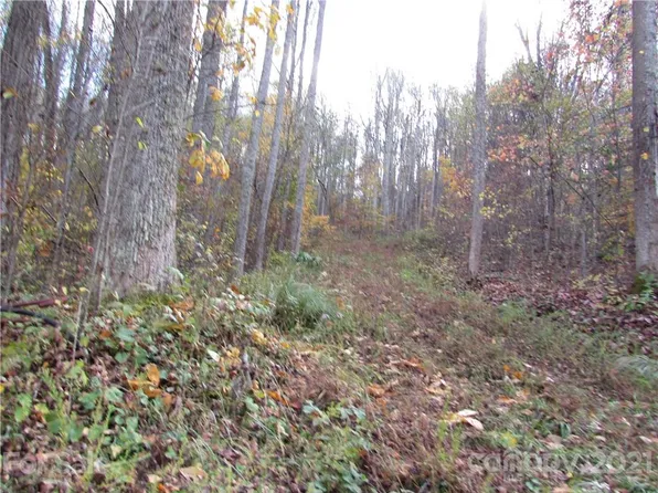 E Three Red Wolf Run None, Mars Hill, NC 28754