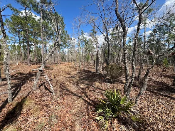 143 Quail Way Lot 5, Hawthorne, FL 32640