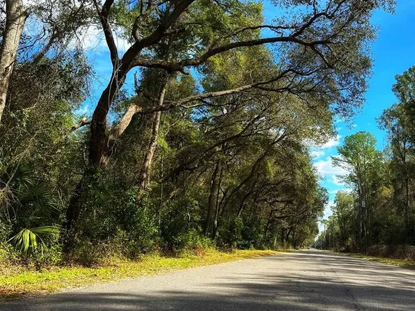 168th Ln, Fanning Springs, FL 32693