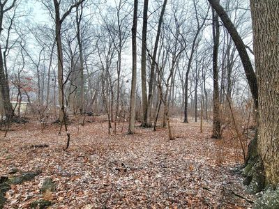 8403 Country Home Ln, Boonsboro, MD, 21713