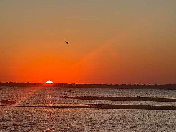 5th image of 13747 Main St