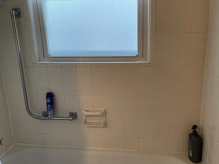 Tub and shower combo