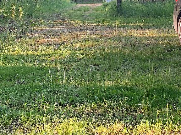 2nd image of 557 Paw Paw Ave
