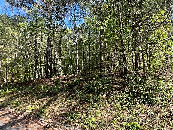 2nd image of LOT 4 Battle Ridge Dr