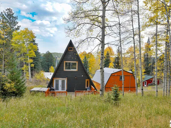 48 Angel Rd, Rye, CO 81069