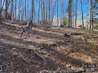 0 Shadow Moss Dr, Burnsville, NC 28714