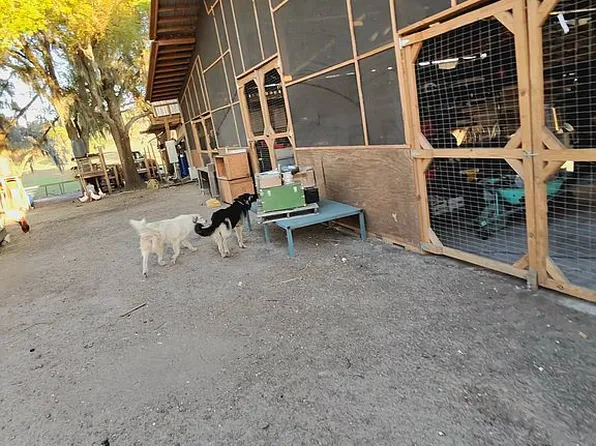 8780 E Derby Oaks Dr, Floral City, FL 34436