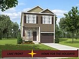 Color Rendering