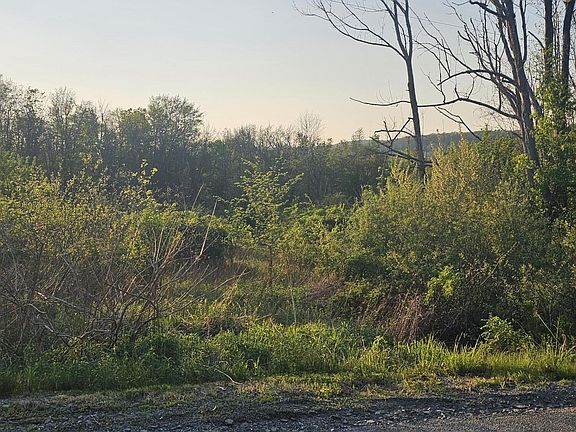 5th image of Callapoose Rd