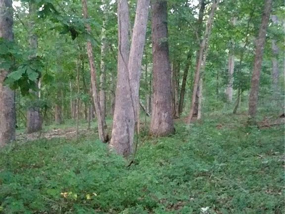 5th image of 18654 Deer Meadow Dr