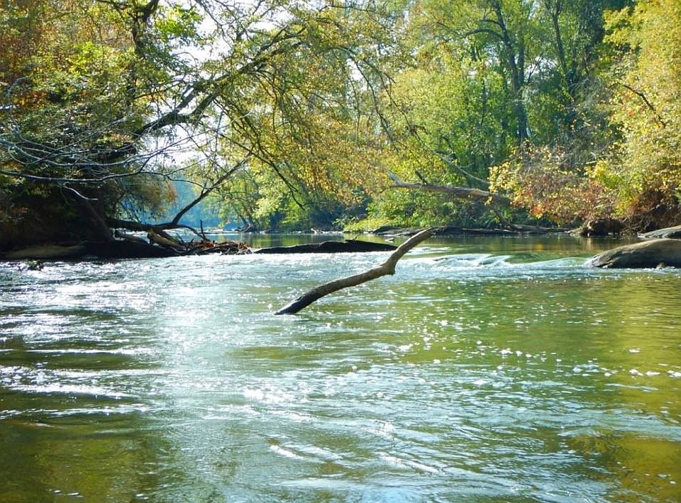 0 Steadman Rd 72, Tallapoosa, GA 30176 MLS 7229257 Zillow