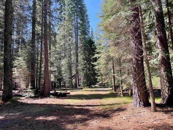 2 Crestview Cir #B, McCloud, CA 96057