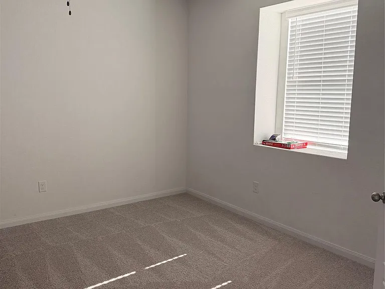 3223 Field Thistle — Photo 18