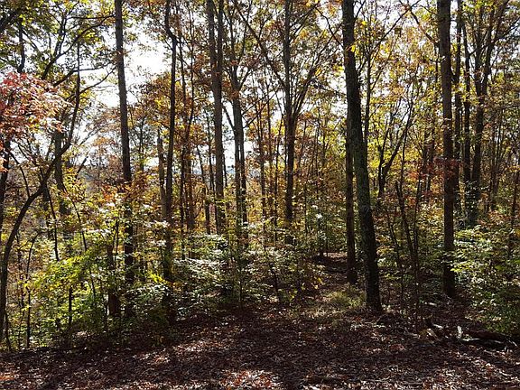 4th image of Parkway Dr