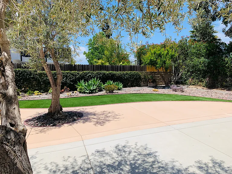 open, sunny, large backyard