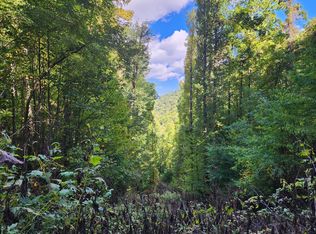 LOT 12 Carringer Rd, Robbinsville, NC 28771