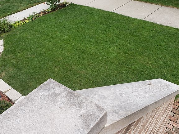 New Sod