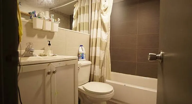 Rented by Evergreen Apartments BK | media 5