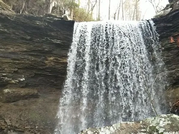 0 Cooleys Rift Blvd Lot 56, Monteagle, TN 37356