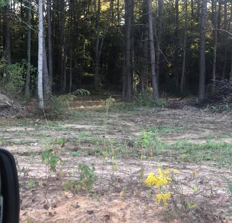 2nd image of 0 County Road 1169 #22
