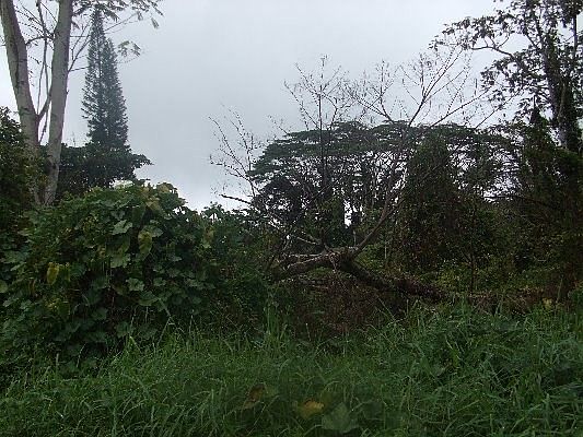 1st image of Woodrose Dr