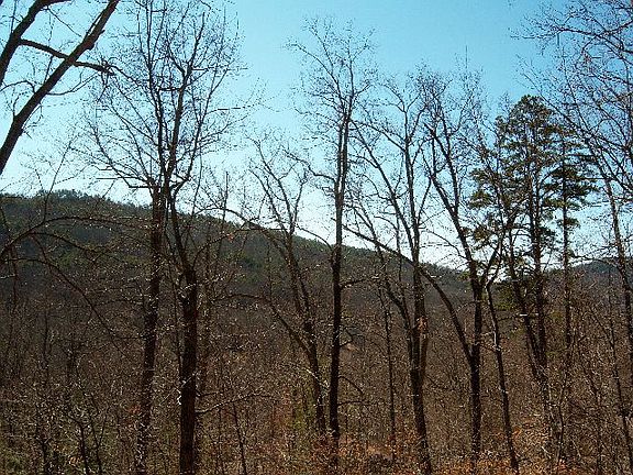 4th image of 155 Deer Dr