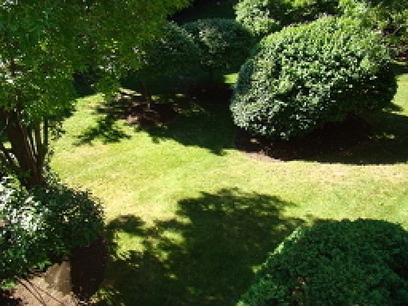4th image of 26 Mews Ln #26