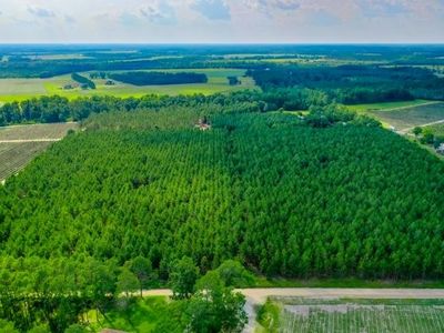 4060 County Farm Rd, Blackshear, GA, 31516