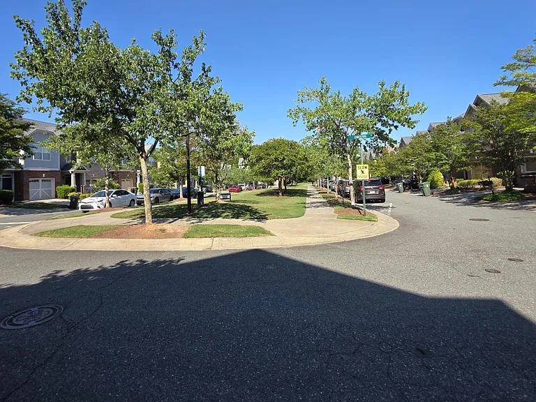 294 Linden Park Ln — Photo 18