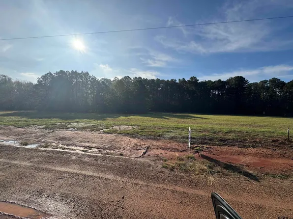 15 Hunters Hollow Dr, Mount Vernon, TX 75457