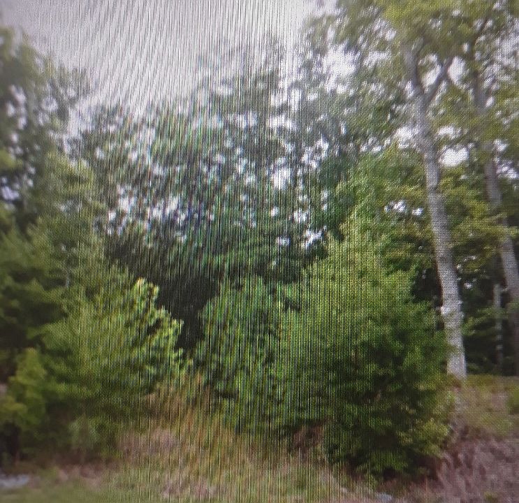 1st image of 168 Mystic Trail Ln