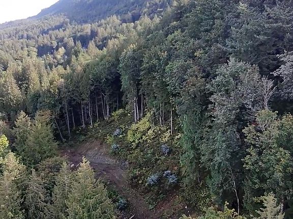 4th image of 41768 Bowman Rd