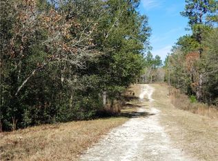 10391 N G Martinelli Blvd, Citrus Springs, FL 34433