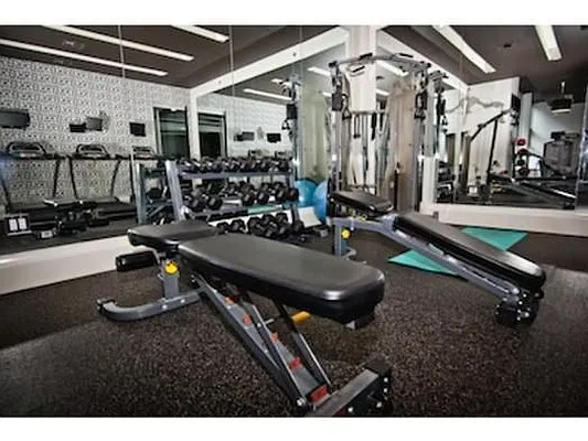 Rented by Fiddler Realty | media 27