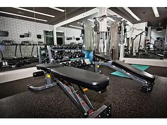 Rented by Fiddler Realty