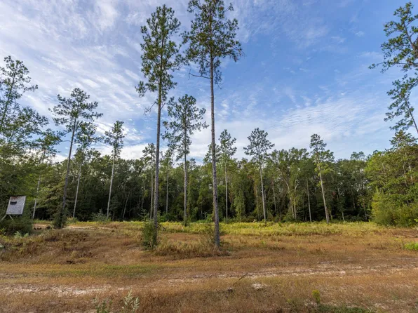 0 Whitehouse Fork Rd, Bay Minette, AL 36507