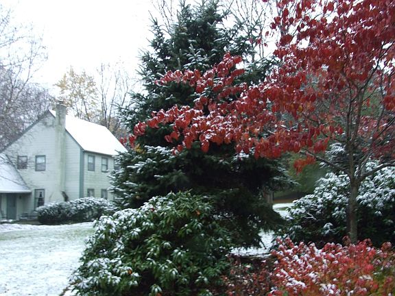 From Mailbox - Late Fall