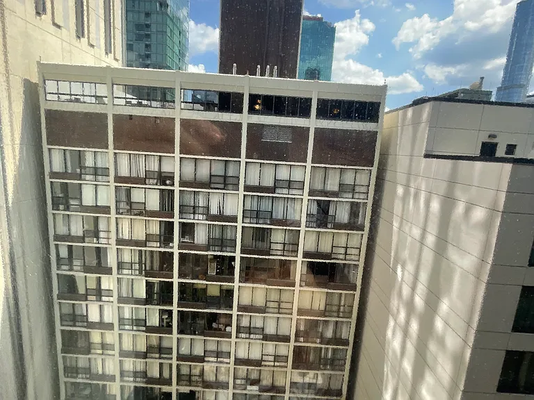 233 E Erie St #2309 — Photo 11