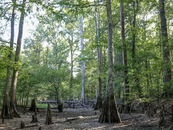 Highway 548, Eros, LA 71238
