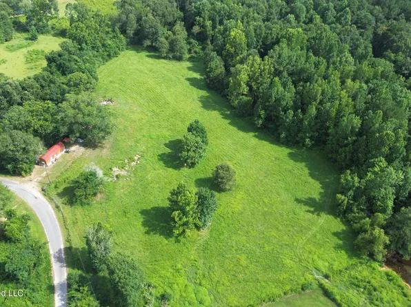 386 S County Road 111 #A, Raleigh, MS 39153