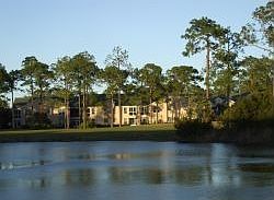 5th image of 1309 Royal Troon Ln