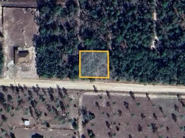 Williston Williston, Williston, FL 32696