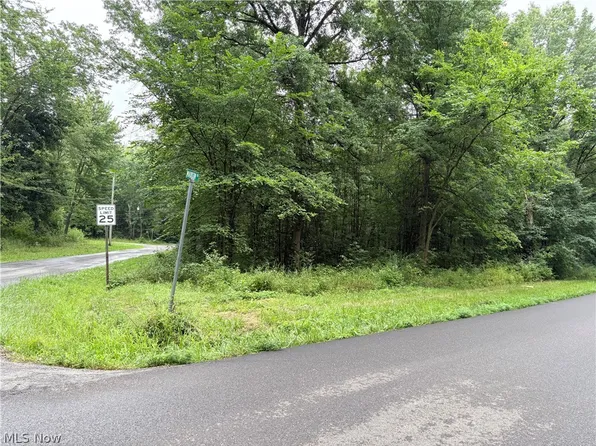 Bon Air Ave NE, Alliance, OH 44601