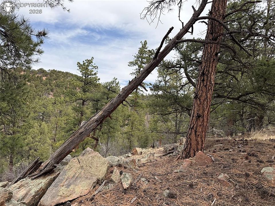 1st image of 672 Coyote Run