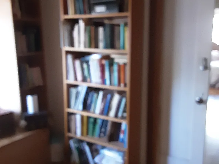 1080 Aileen St #1 — Photo 12