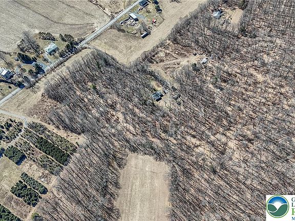 4th image of Back Rd